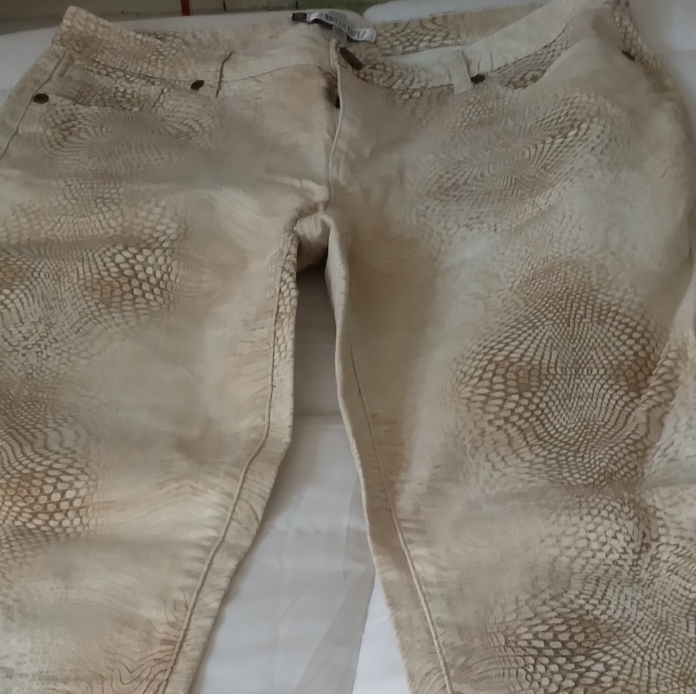 Jennifer Lopez Jeans